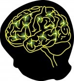 brain icon